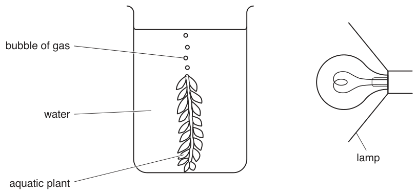 Fig. 1.2