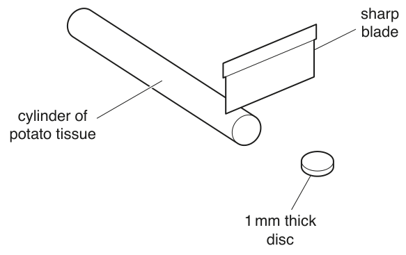 Fig. 1.1