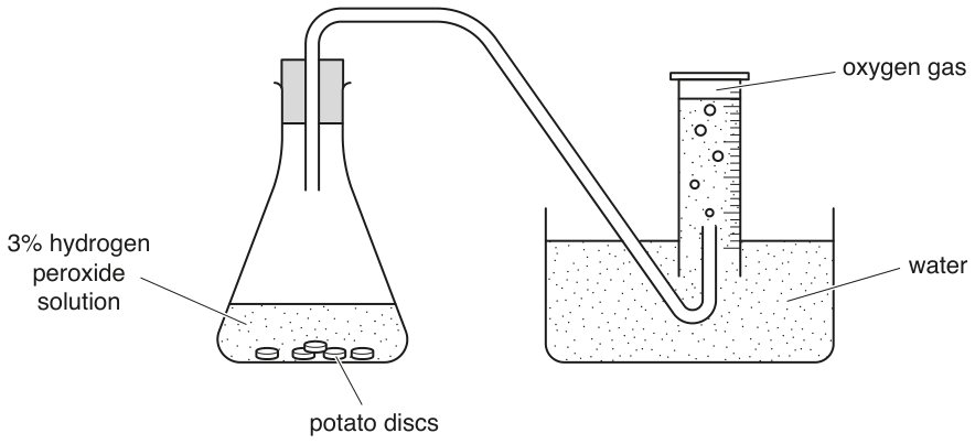 Fig. 1.2