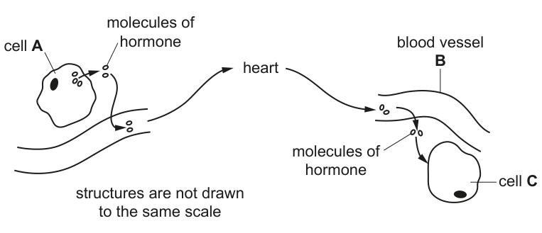 Fig. 1.1