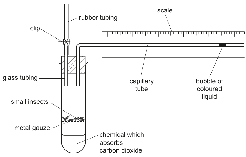 Fig. 1.1