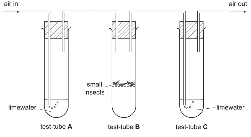 Fig. 1.3