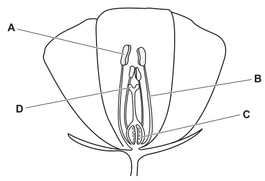 The diagram, as printed with the question.