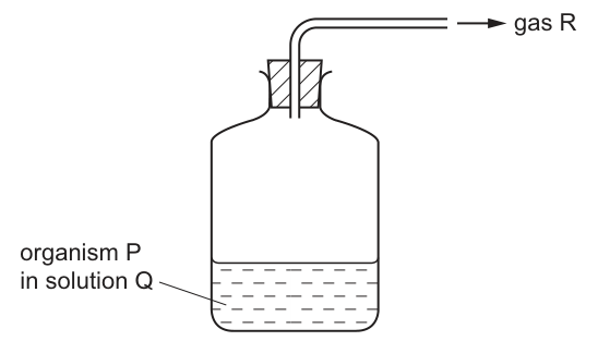 The apparatus, as printed with the question.