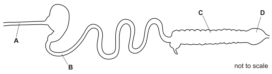 Fig. 1.1