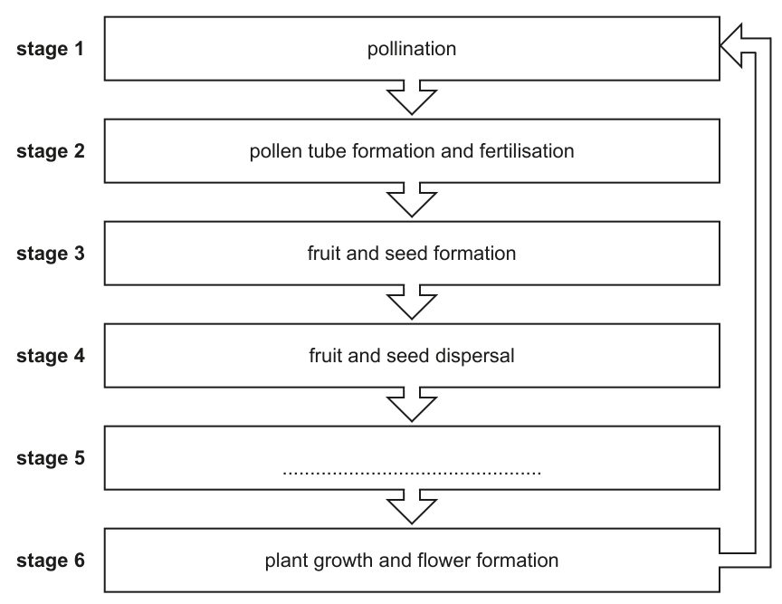 Fig. 1.1