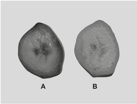 Fig. 1.1