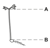 Fig. 1.2