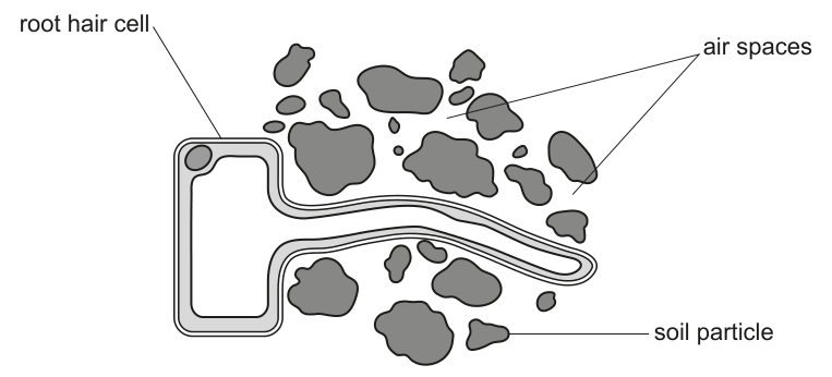Fig. 1.1