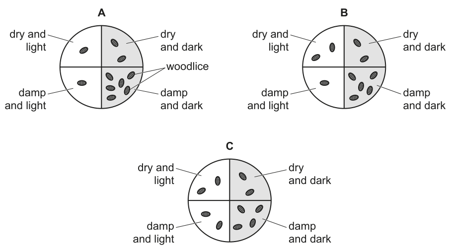 Fig. 1.2