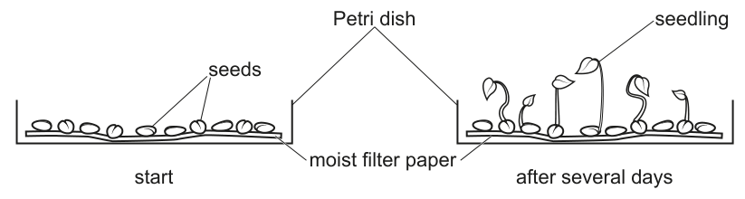 Fig. 1.1
