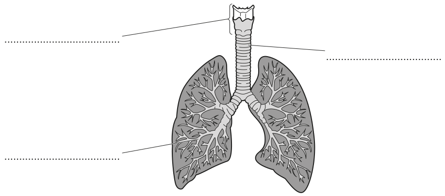 Fig. 1.1