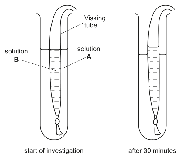 Fig. 1.2
