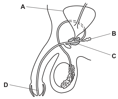 The diagram, as printed with the question.