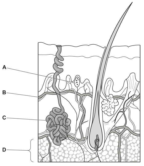 Fig. 1.1