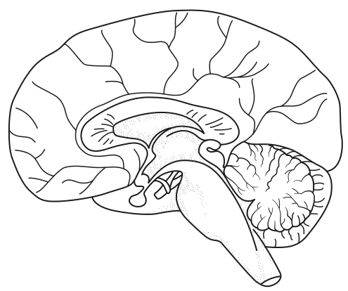 Fig. 1.1