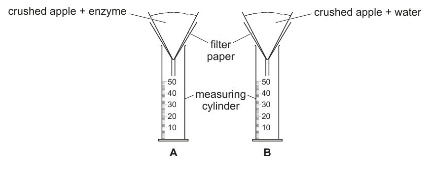 Fig. 1.1