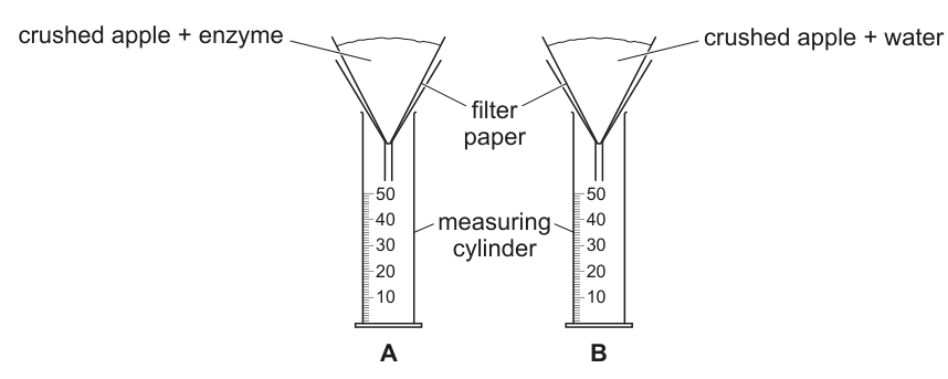 Fig. 1.1