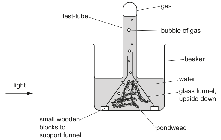 Fig. 1.1