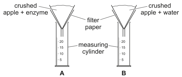 Fig. 1.1