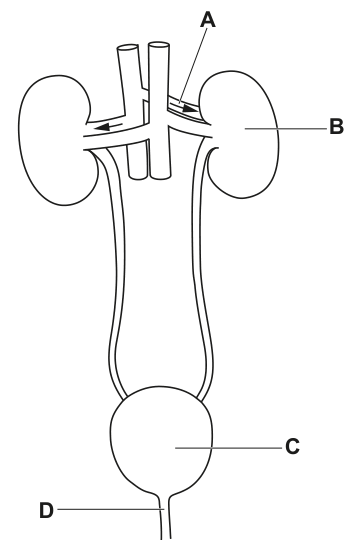 Fig. 1.1