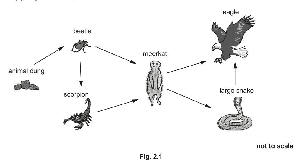 Fig. 2.1