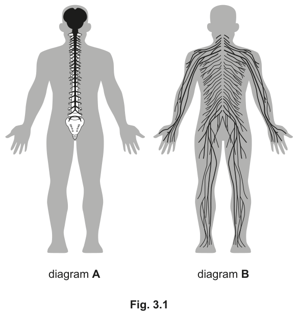 Fig. 3.1