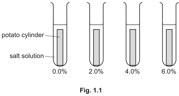 Fig. 1.1