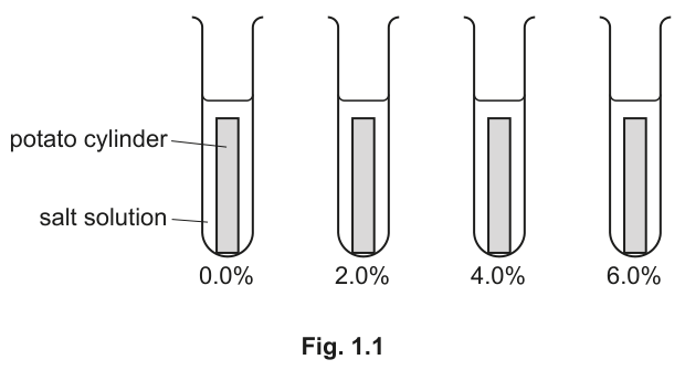 Fig. 1.1