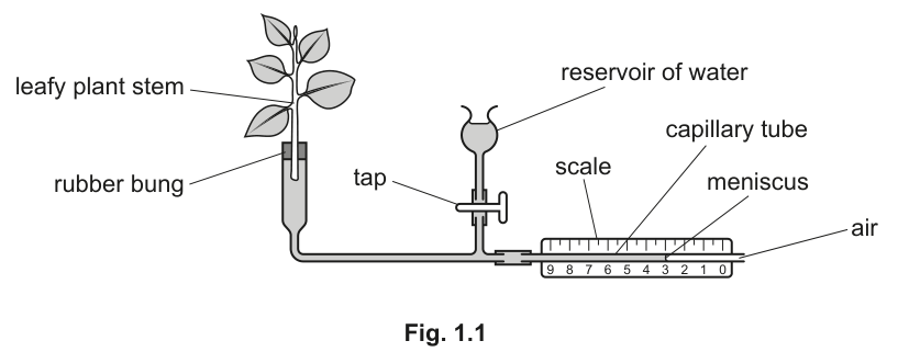 Fig. 1.1