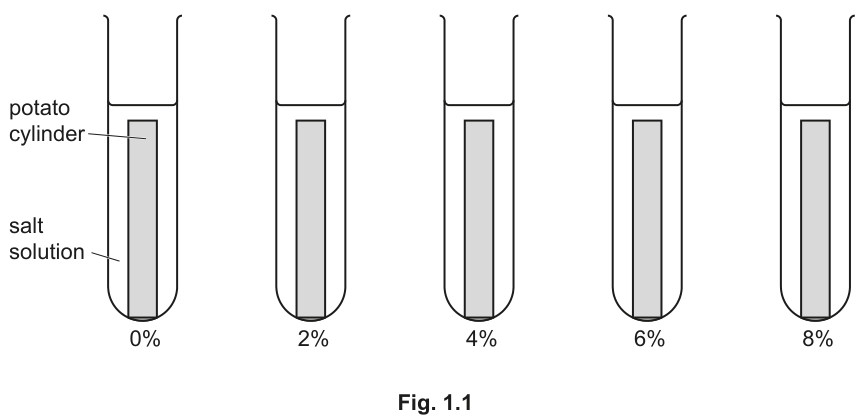 Fig. 1.1