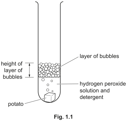 Fig. 1.1