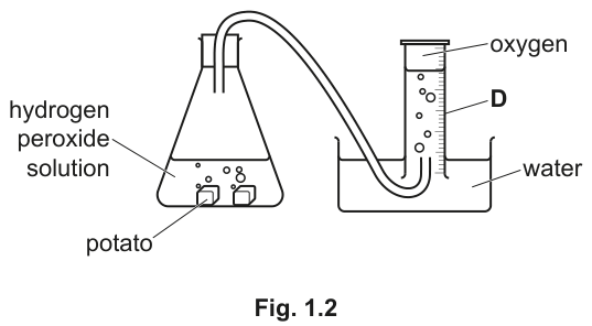 Fig. 1.2