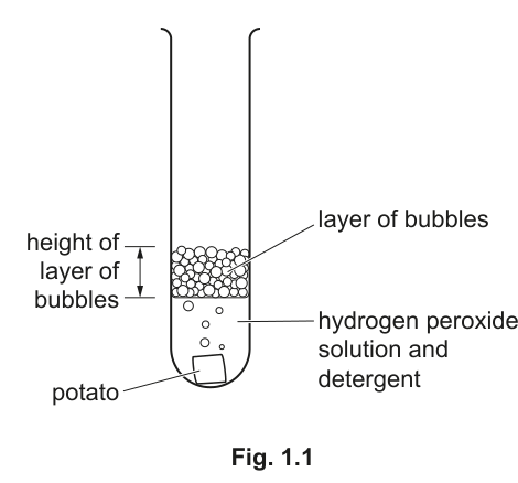 Fig. 1.1