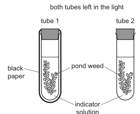 Fig. 7.1
