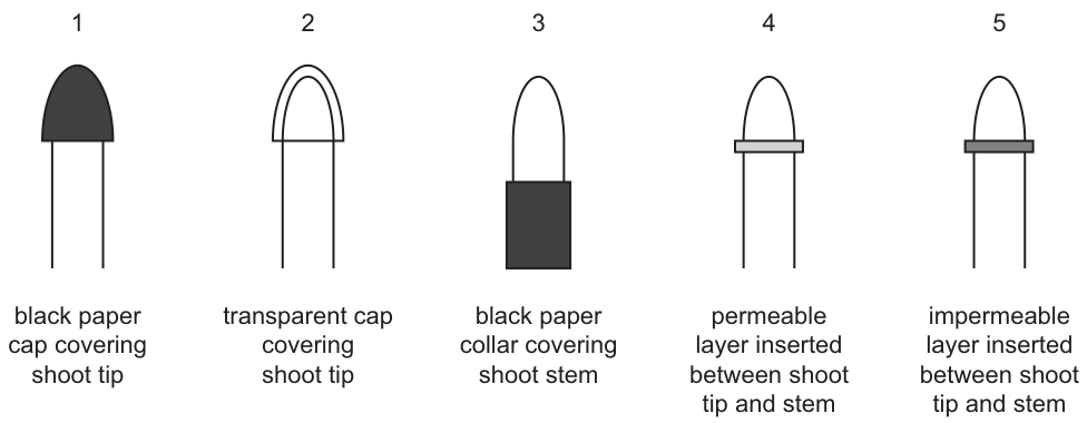 Fig. 27.1