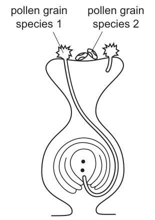 Fig. 30.1