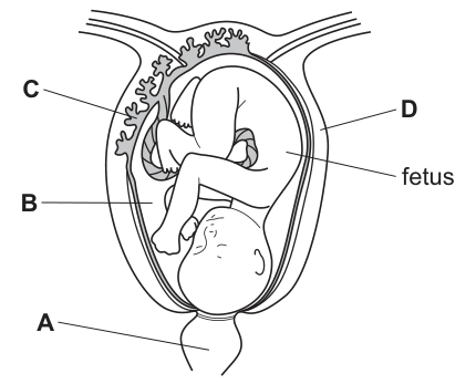 Fig. 32.1