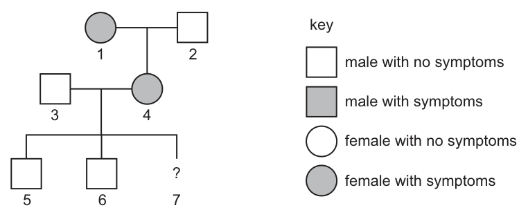 Fig. 34.1