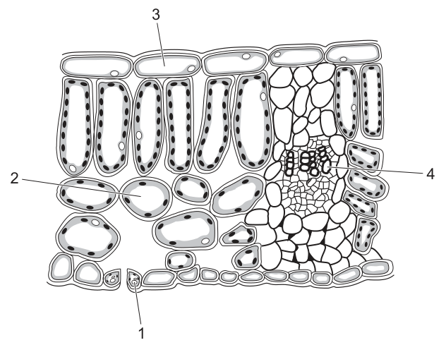 Fig. 8.1