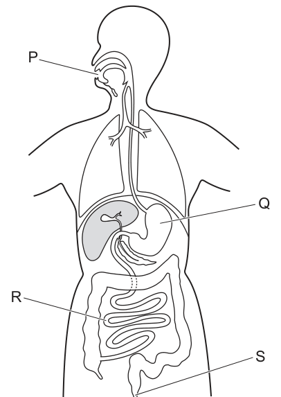 Fig. 11.1