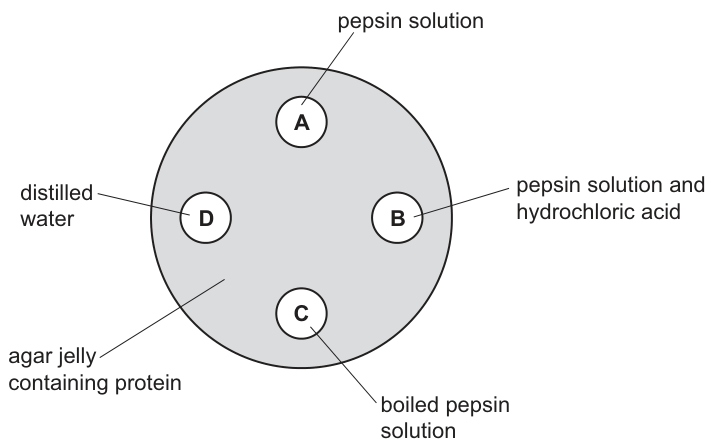 Fig. 12.1