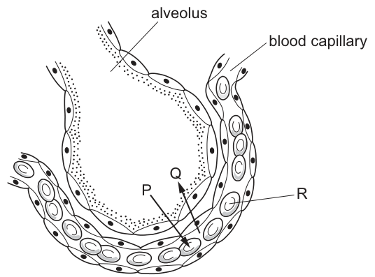 Fig. 14.1