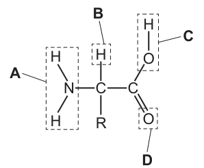 Fig. 22.1