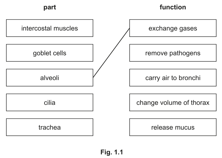 Fig. 1.1