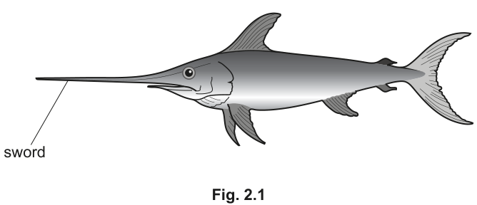 Fig. 2.1