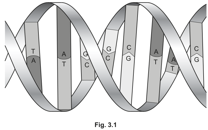 Fig. 3.1