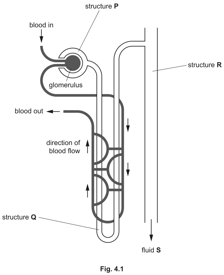 Fig. 4.1