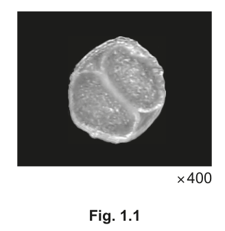 Fig. 1.1