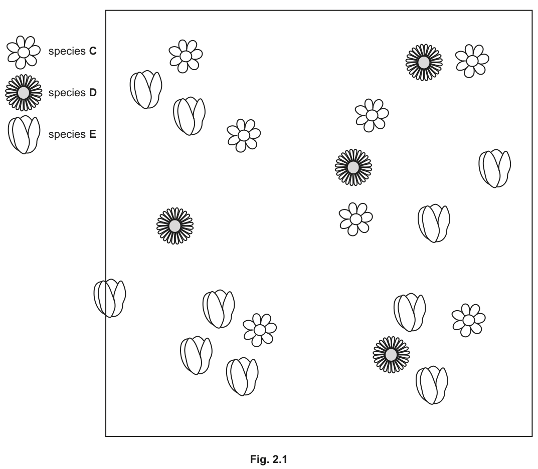 Fig. 2.1